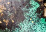 15 Years Of Impactful Ocean Education And Conservation image